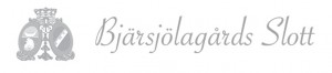 bjärsjölagårds slott